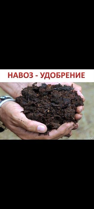 Продам навоз перегной