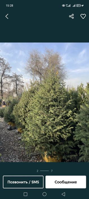 Садовник разумные цены