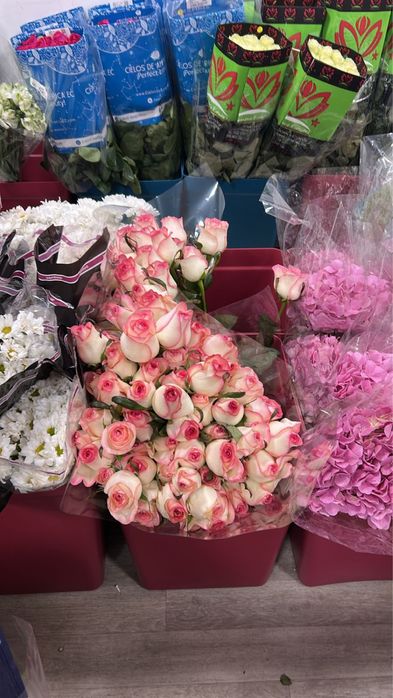 Цветы на 8 марта оптом и розница