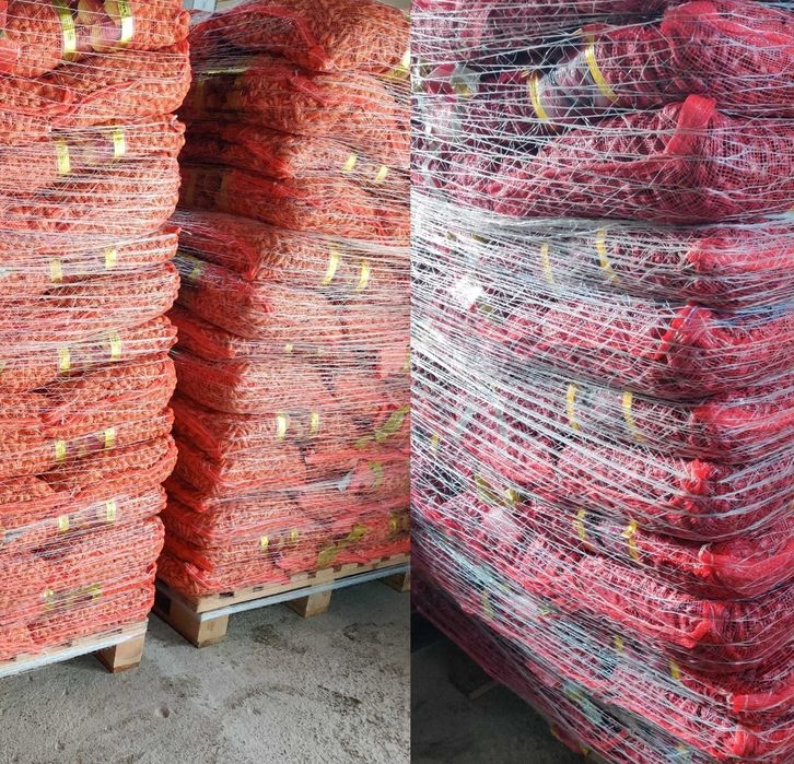 Arpagic / Arpacica Olanda / Holand