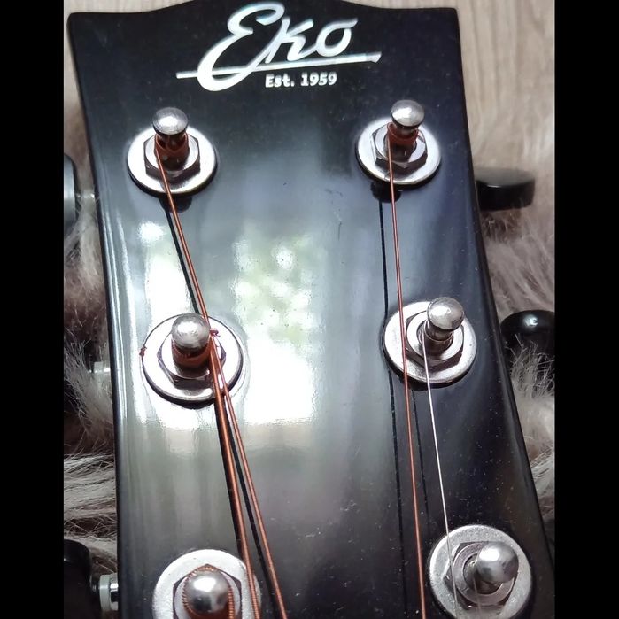 Chitara eko model NXT D