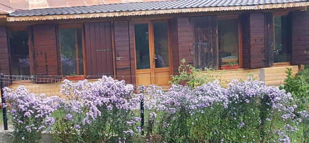 Gemuri lemn+usa+obloane- pachet complet sau separat