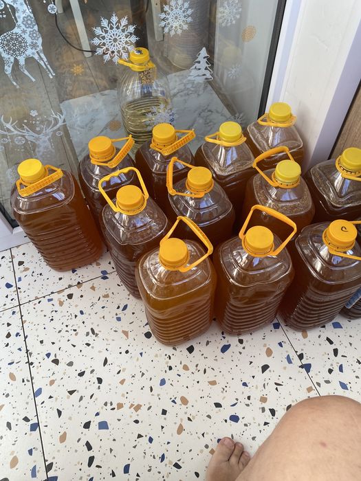Продам мёд Урджарский
