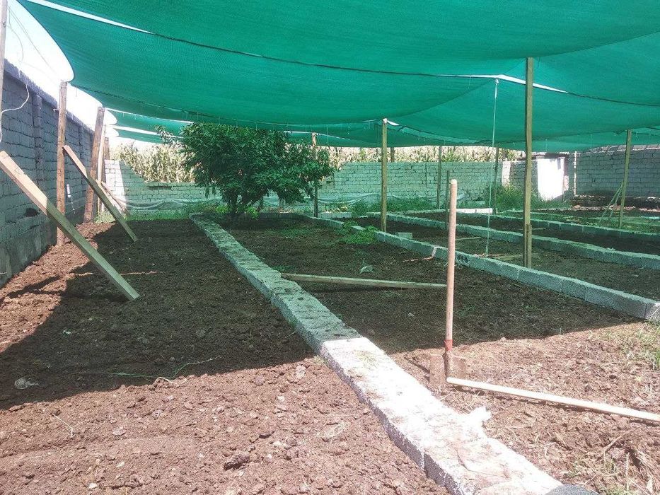 Биогомус (Biogomus) чувалчанг Теплица фермерлар ва томорка эгаларга