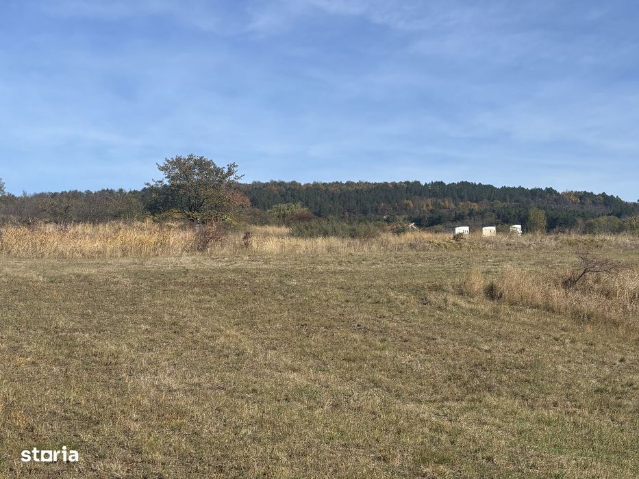 Teren Dealul Fanatelor-4 km de Auchan