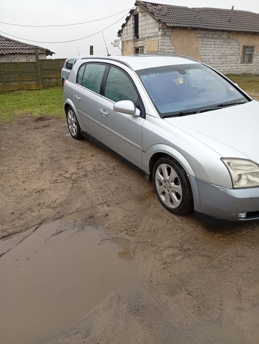 Opel Signum  de vânzare