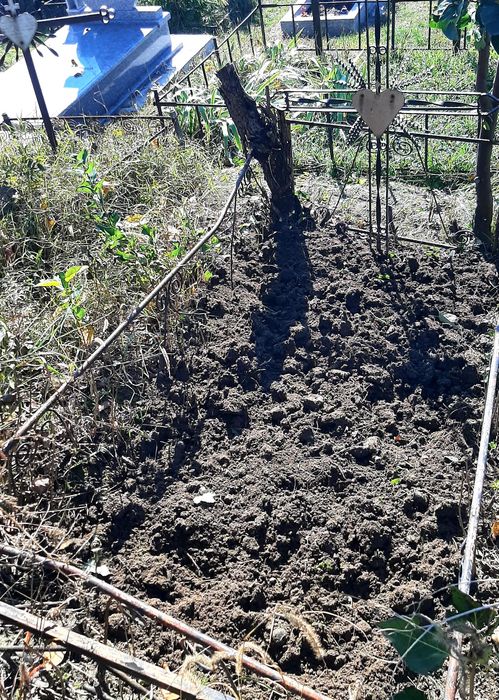 2 locuri de veci Cimitirul Sf. Vasile