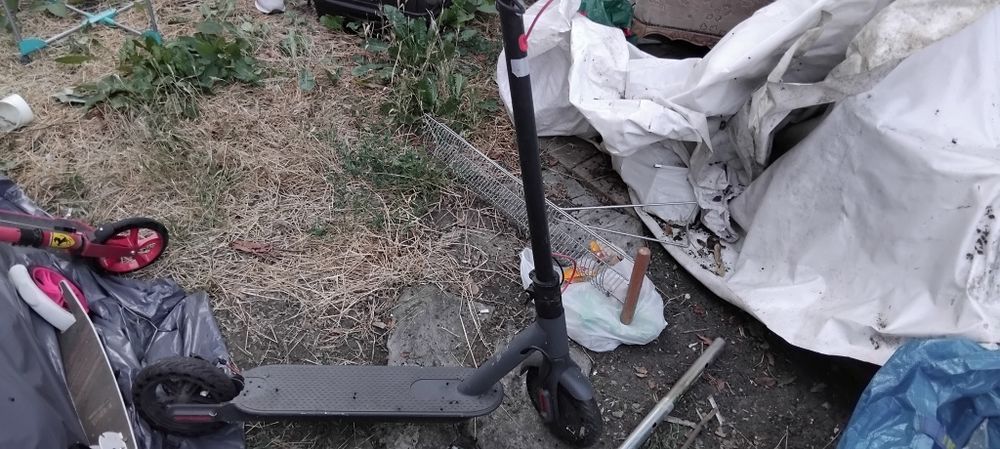 Техника и най различни моркови нища