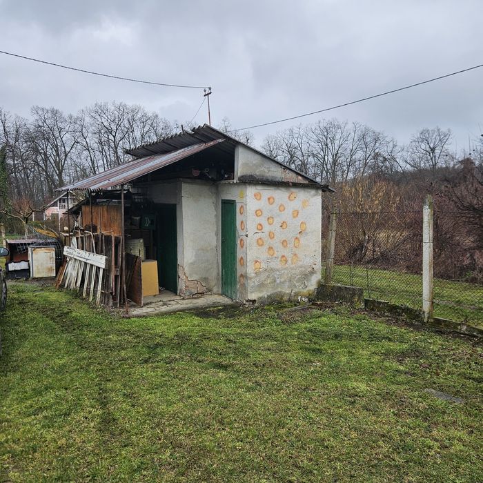 ВИЛЕН ИМОТ Врачански лозя,  м. Янкин връх