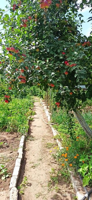 Продам дачу сад Речкнька