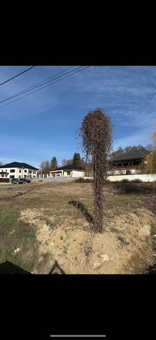 Pamant de vanzare Vladesti
