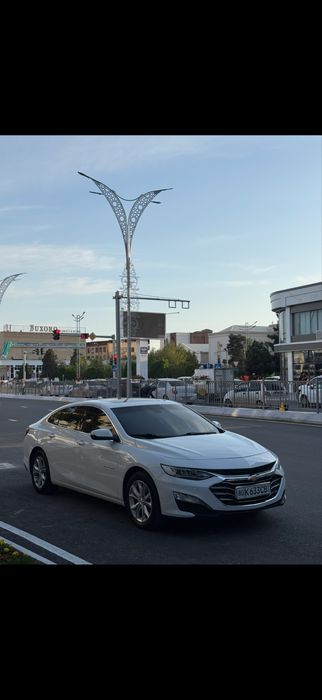 Malibu toza premier