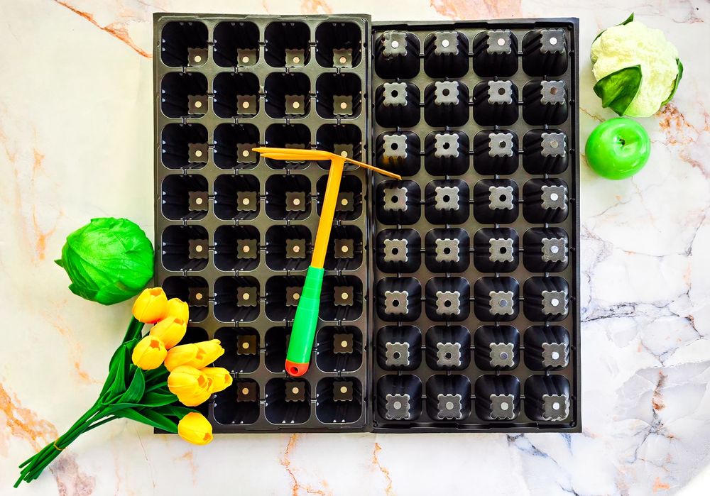 Кассета для рассады. Ko‘chat uchun kasseta.