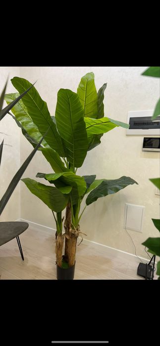 Искуственные цветы кашпо