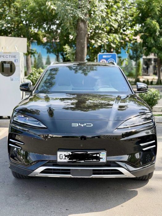 Byd champion 25 versiya