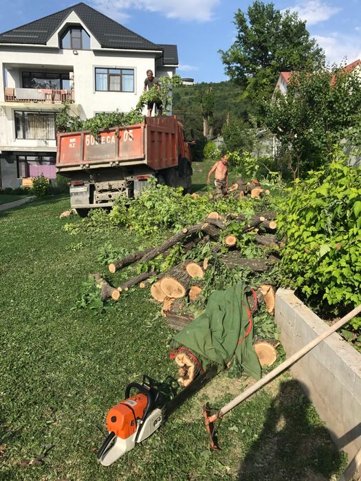 Спил, обрезка деревьев