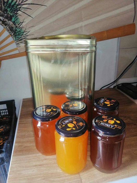Пчелен мед реколта 2025г.