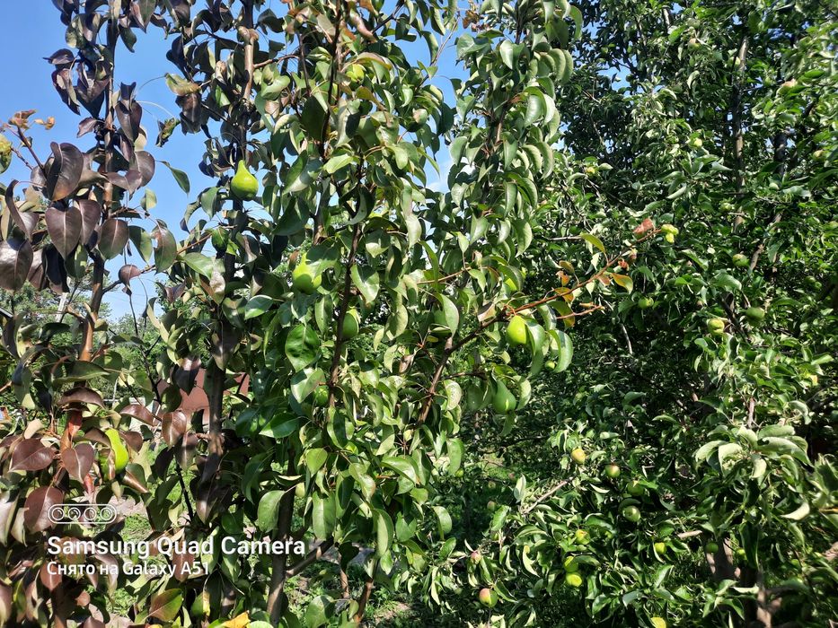 Продам дачу на 2й дачной поворот