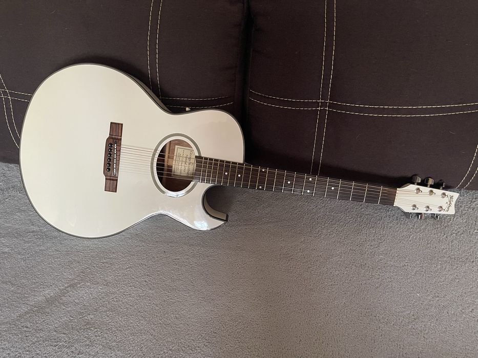 Гитара Washburn EA-20 WH