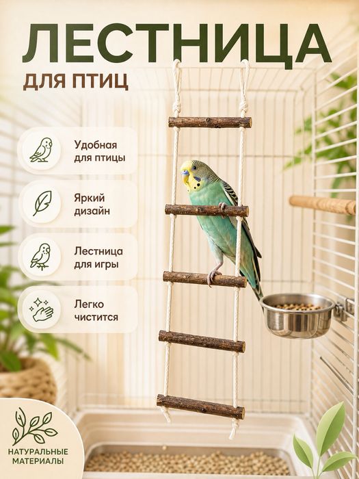 Лестница для птиц