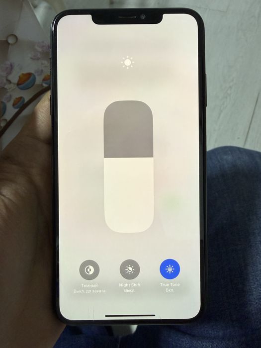 iPhone Xs Max 256Gb