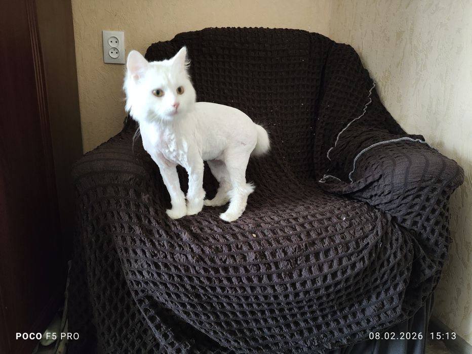 Продаётся кресло