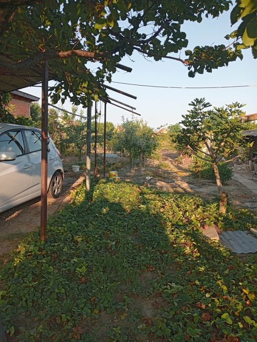 casa de vanzare Checea.