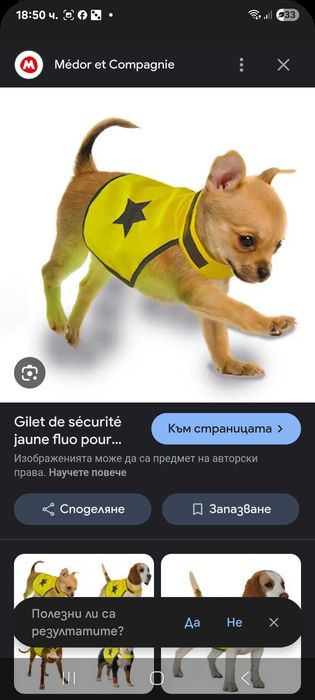 Дрешка за средна порода кученце