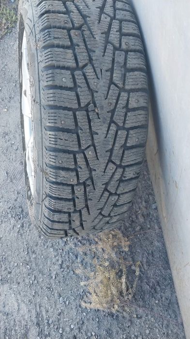 Автошины комплекте дисками
