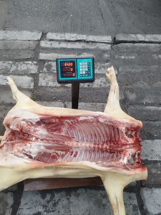 Свинина домашняя