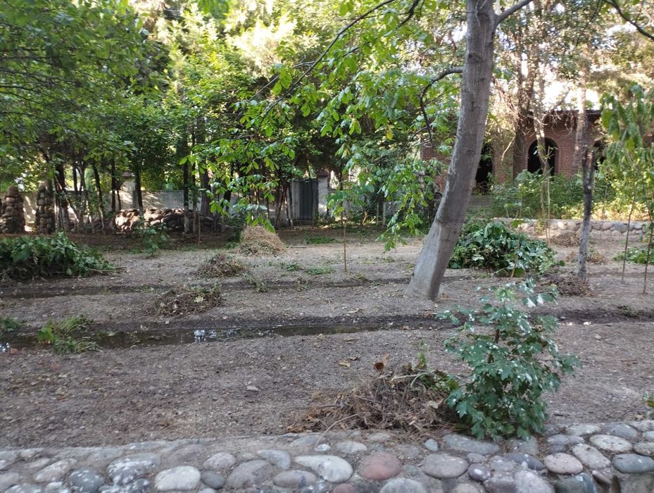 Предлагаем на продажу дачный участок более 50 соток в Тузеле.