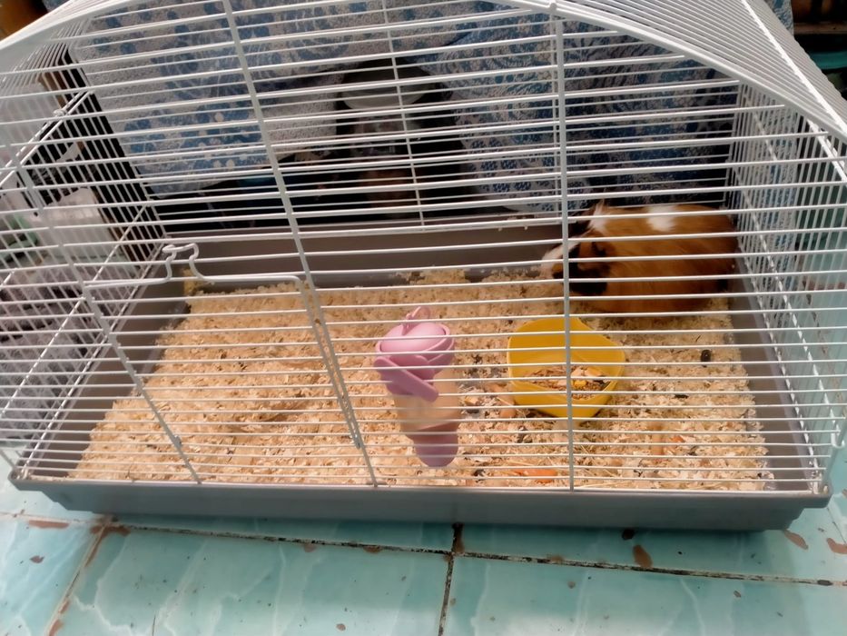 Клетка для грызунов