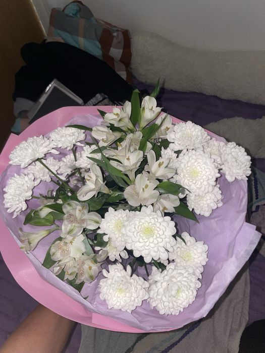 продам цветы свежие!!