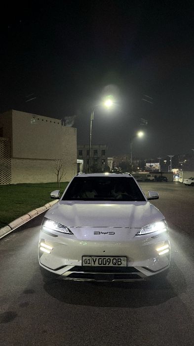 Byd champion 605 km br qol moshna