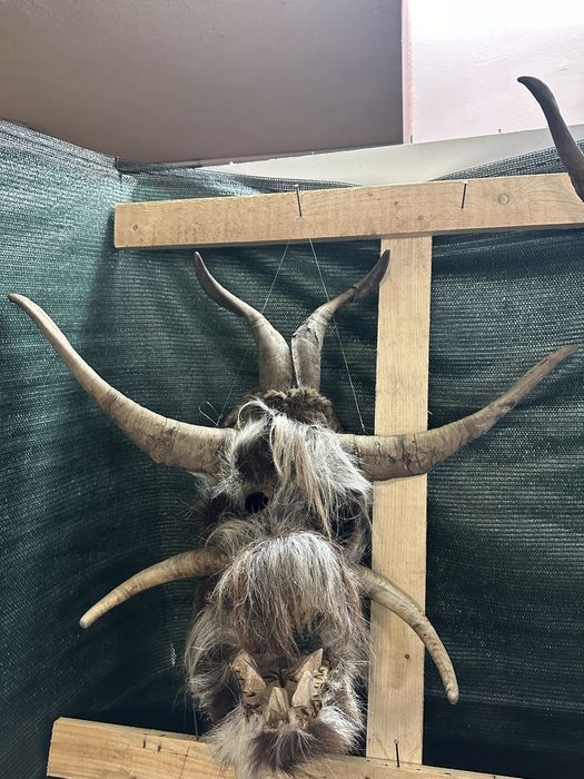 Кукерски маски от естествени материали