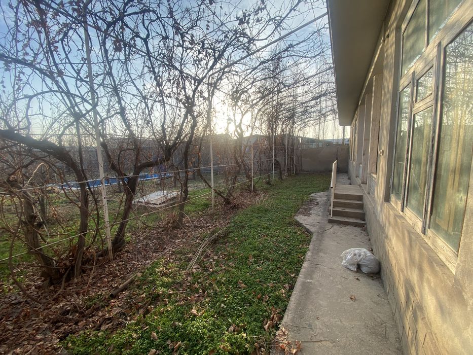 Тошми постидан кирганда