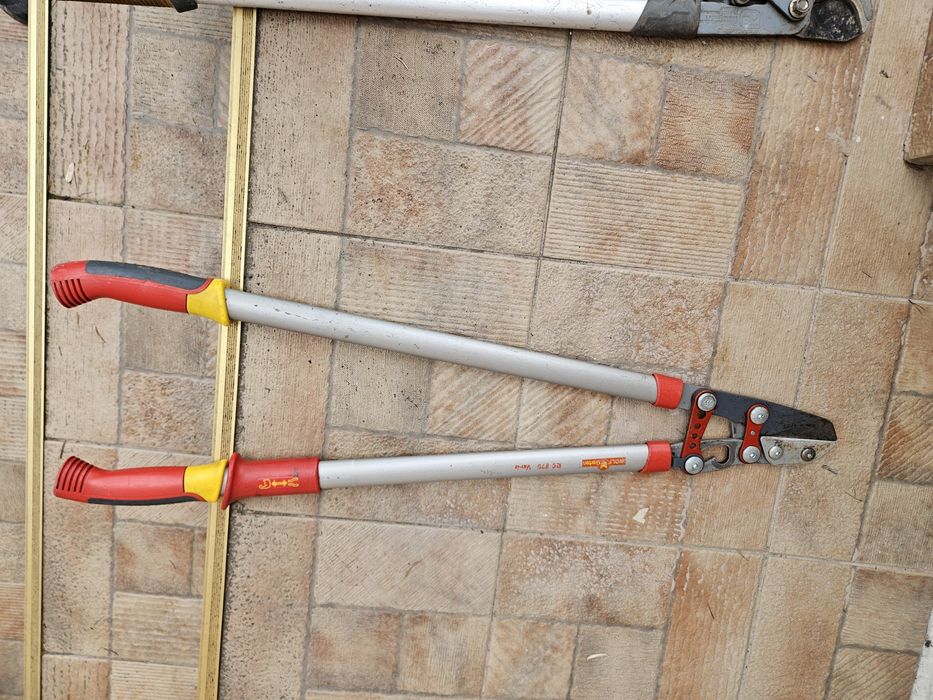 foarceci wolf  ramuri groase