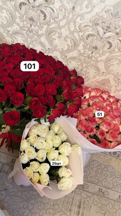 Свежий гулдер алам дегенгк