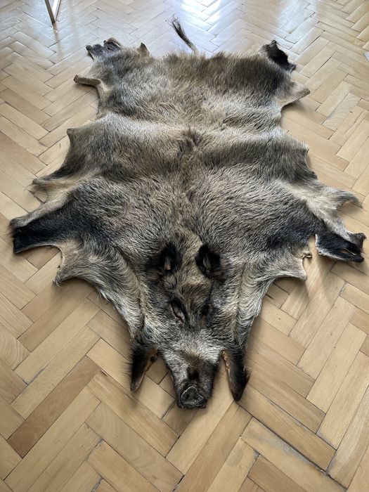 Кожа от Глиган Диво прасе