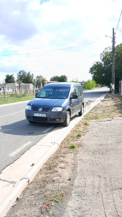 Caddy life 7 locuri