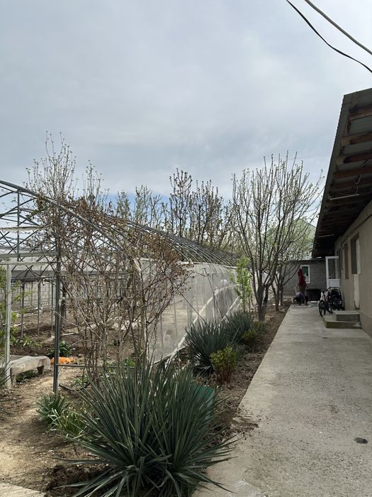 Теплица сатылады Асар мкр