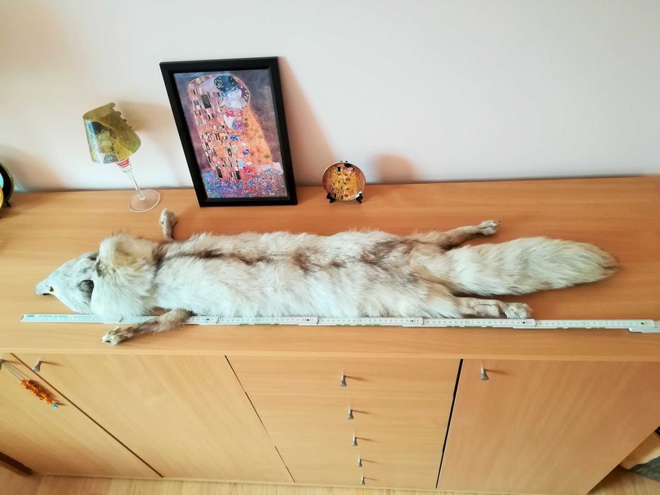 Шапка и яка от сибирска лисица, нови