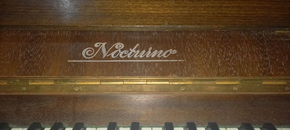 Фортепиано Бухара