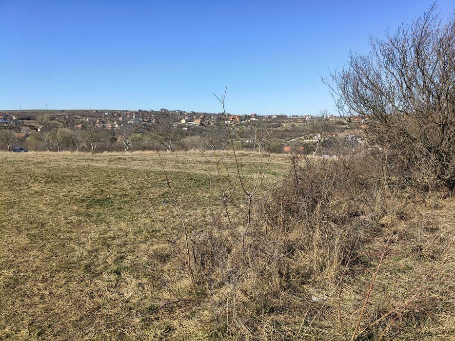 Teren 400 mp Daia Nouă - Ideal Casă de Vacanță sau Locuință