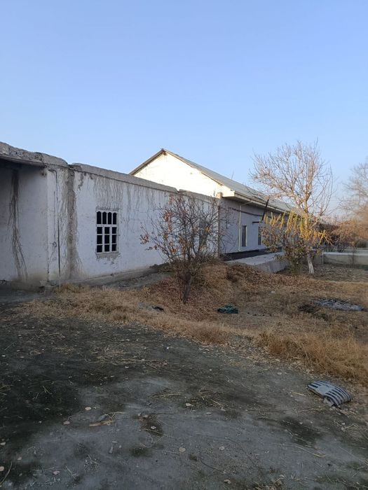 Жондорда уй срочно сотилади