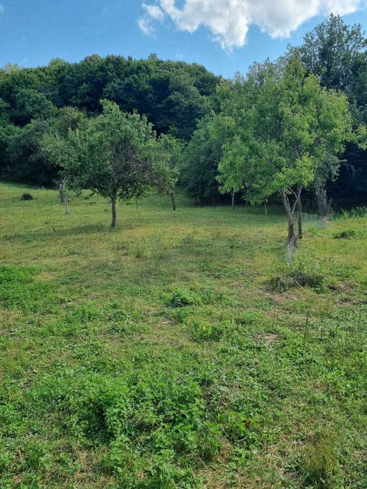 Vand casa plus teren de 25 ari
