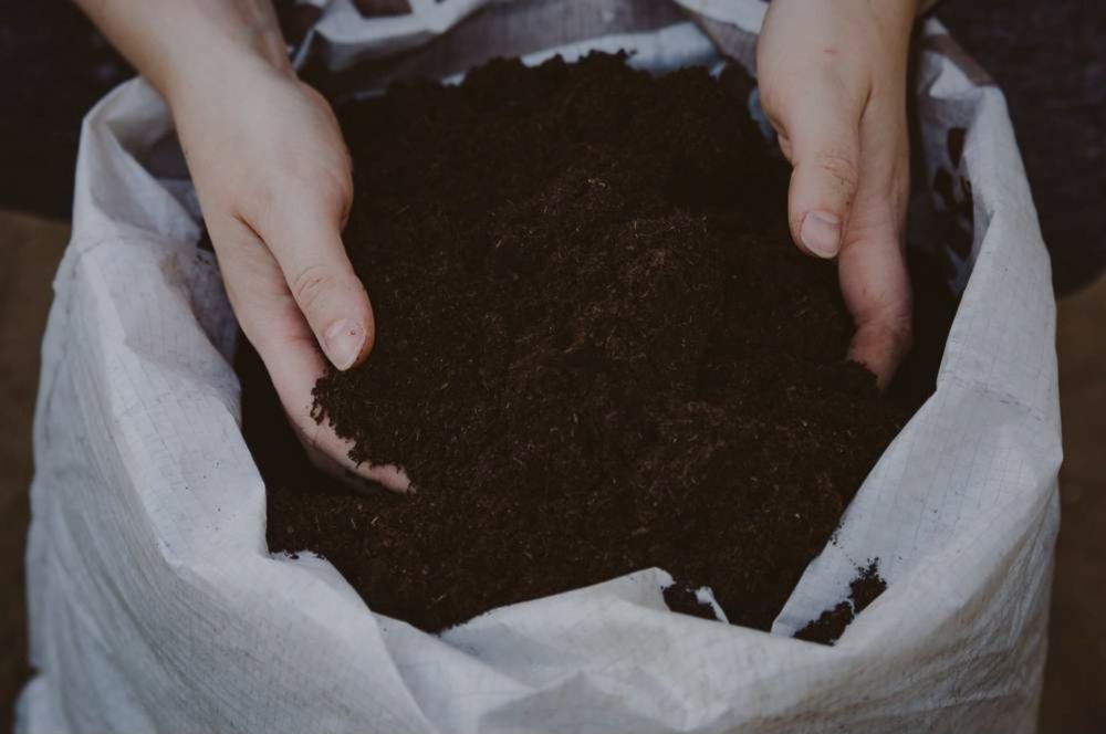 Sifatli biogumuslar sotiladi cheklanmagam miqdorda