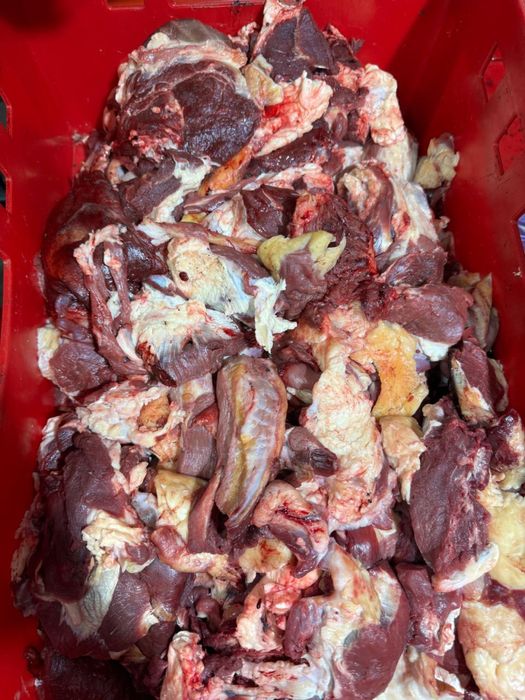 Мясо с головы и щеки