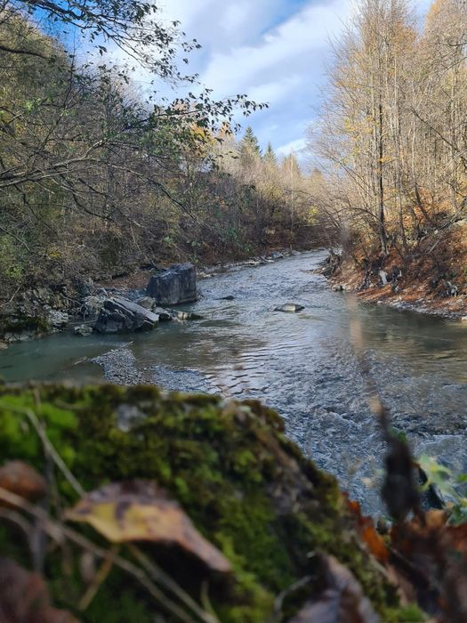 Vand teren Valea  Doftanei in coada lacului Paltinu