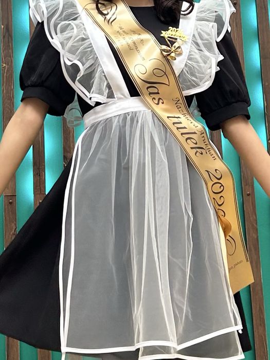 Школьный  фартук